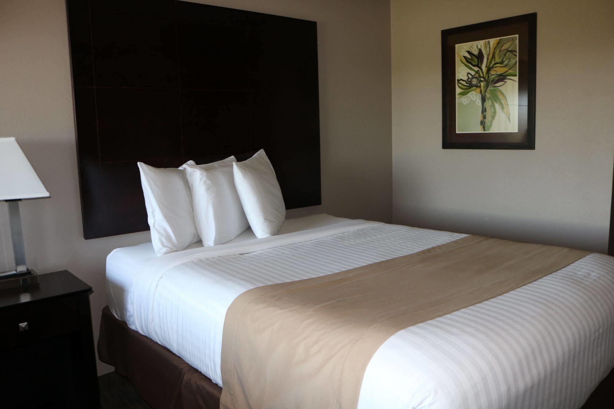 Qube Hotel - Polk City المظهر الخارجي الصورة